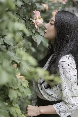 芳草地电影免费观看