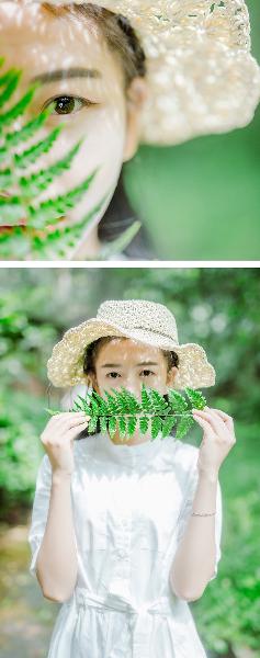 丁香花电影高清在线小说阅读,丁香花在线电影电视剧