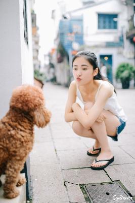 野花香电视剧全集免费观看6集剧情